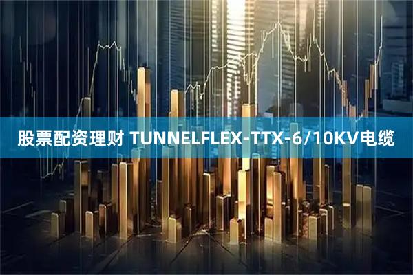 股票配资理财 TUNNELFLEX-TTX-6/10KV电缆