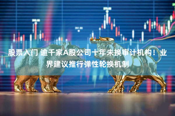 股票入门 逾千家A股公司十年未换审计机构！业界建议推行弹性轮换机制